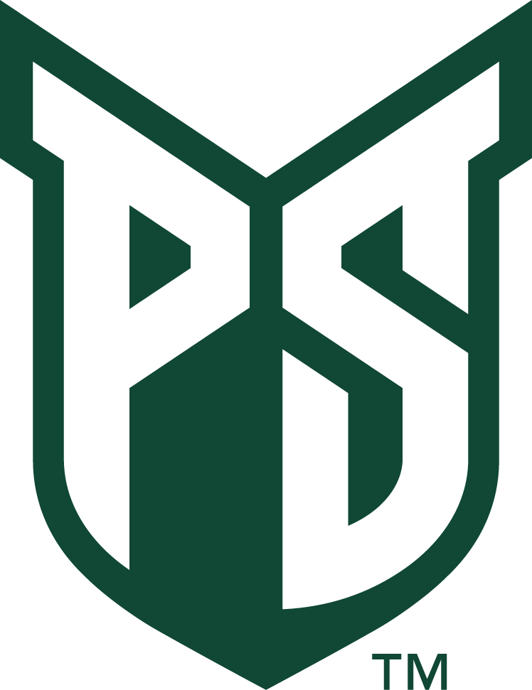 Portland State Vikings 2016-Pres Primary Logo diy iron on heat transfer